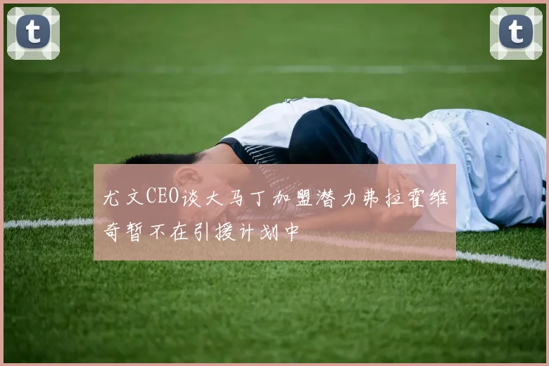 尤文CEO谈大马丁加盟潜力弗拉霍维奇暂不在引援计划中