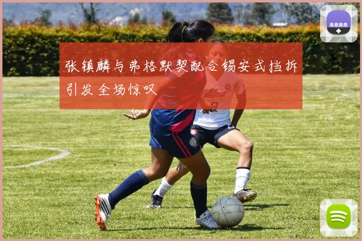 张镇麟与弗格默契配合锡安式挡拆引发全场惊叹